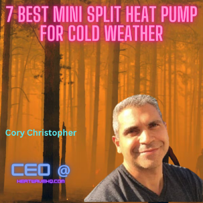 Best mini split heat pump for cold weather